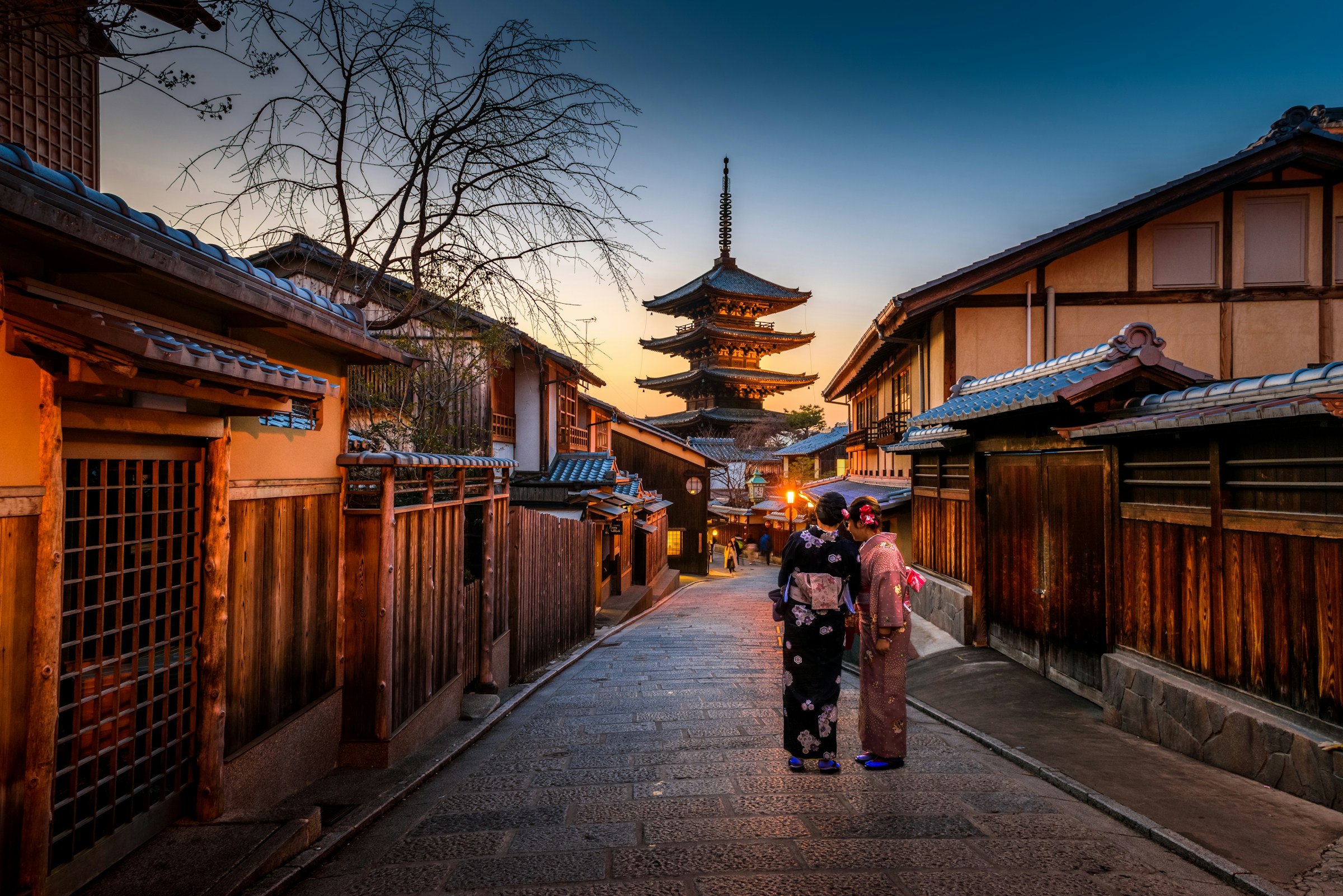 Bamboo Forests, Shrines, & Cherry Blossoms